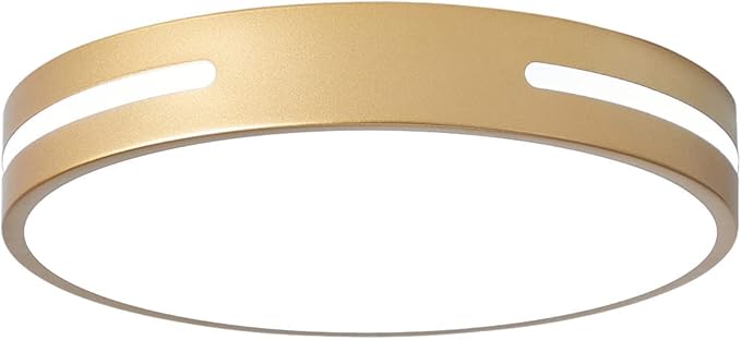 Gold LED Light Fixtures Ceiling Mount, Overhead Flush Mount Ceiling Light Interior 12 inch 24W, Close to Ceiling Light 5CCT for Bathroom, Bedroom, Hallway