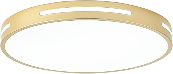 Gold Ceiling Light Flush Mount LED, 36W 15 inch Kitchen Light Fixture Ceiling Mount Dimmable,Modern Close to Ceiling Light Fixture 5CCT for Bedroom, Bathroom,Living Room
