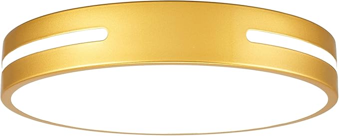 Gold LED Light Fixtures Ceiling Mount, Overhead Flush Mount Ceiling Light Interior 12 inch 24W, Close to Ceiling Light 5CCT for Bathroom, Bedroom, Hallway
