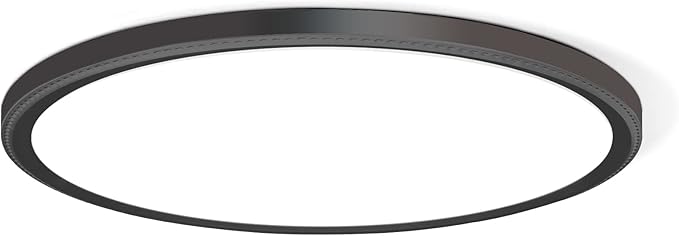 3200lm LED Flush Mount Ceiling Light, Super Slim 12 inch LED Ceiling Light, 5000K LED Ceiling Light for Bedroom, Living Room, Dining Room (Black, One Pack)