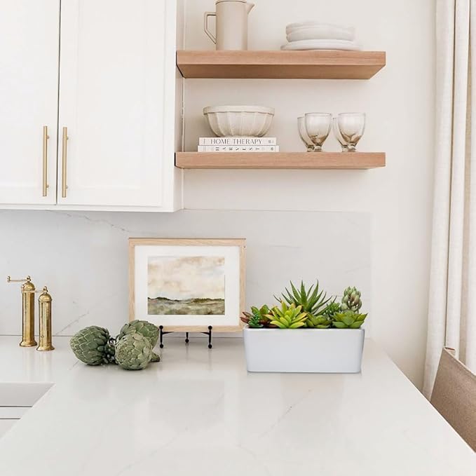 Artificial Succulents Plants in Ceramic Planter Assorted Faux Succulents in Pots Arrangement Fake Succulent Potted Plant for Home Office Desk Bathroom Shelf Living Room Indoor Outdoor Decor - Black