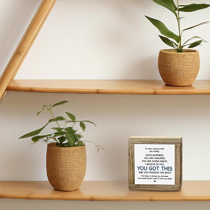 Affirmations Sign, Inspirational Office Decor for Tabletop, Motivational Desk Sign - I Believe in You, You Got It, Encouragement Gift for Women Coworkers Friends 5.9x5.9x0.7inch Home 09