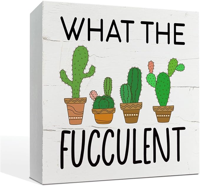 What the Fucculent Sign, Plant Decor, Box Sign Tabletop Decor, Cactus Decor, Plant Lover Home Decor, Greenery Office Decor, Office Desk Sign, Farmhouse Decor for Shelf, White Wooden Box Sign