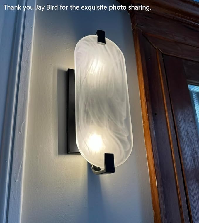 2 Pack 2 Light Oval Frosted Glass Bathroom Wall Sconce Modern Concise Style Wall Light Fixture,Black Finish for Bedroom Hallway Bedside