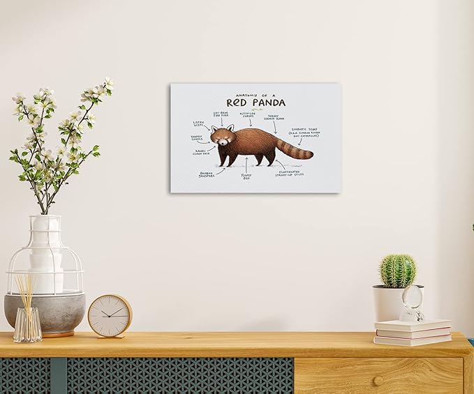 Nogrit Red Panda Wall Art - Anatomy Canvas Poster for Woodland Animal Nursery - Panda Gifts and Decor - 14x11 Inches