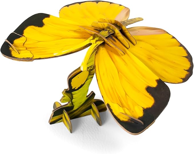 Fidget Toys Eco-Friendly 3D Paper Puzzles for Educational STEM Activities and Early Learning - Ideal Sensory Toys Gifts for Kids 7+(Grass Yellow)โฆโฆ