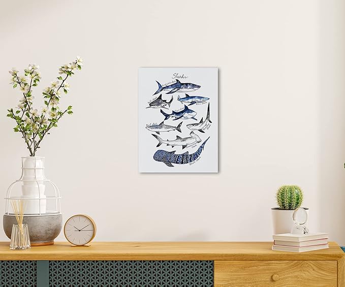 Nogrit Shark Wall Art - Ocean Themed Shark Gifts, Classroom Library Decor - 11x14