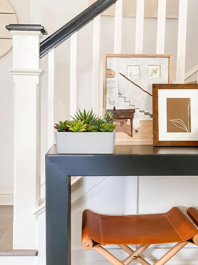 Artificial Succulents Plants in Ceramic Planter Assorted Faux Succulents in Pots Arrangement Fake Succulent Potted Plant for Home Office Desk Bathroom Shelf Living Room Indoor Outdoor Decor - Black