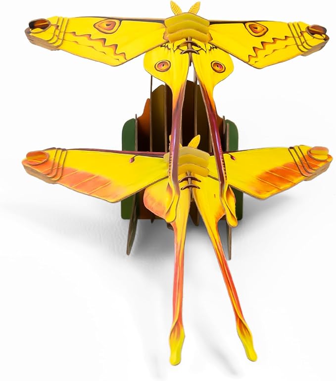 STEM Educational Toy Paper Puzzle for Children, Hands-On Learning Experience Inquisitive Minds, Preschool Toys for Birthday, Christmas, Holidays(Actias Moth, Ages 7 and Up)โฆ