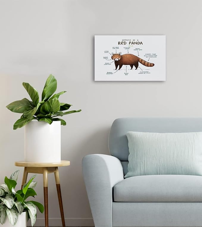 Nogrit Red Panda Wall Art - Anatomy Canvas Poster for Woodland Animal Nursery - Panda Gifts and Decor - 14x11 Inches