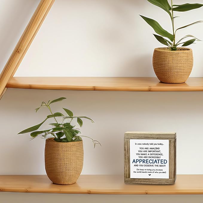 Affirmations Sign, Inspirational Decor for Cubicle Office Workplace, Motivational Desktop Sign - You are Incredibly Appreciated, Gift for Teens Coworkers Friends 5.9x5.9x0.7inch Home 08
