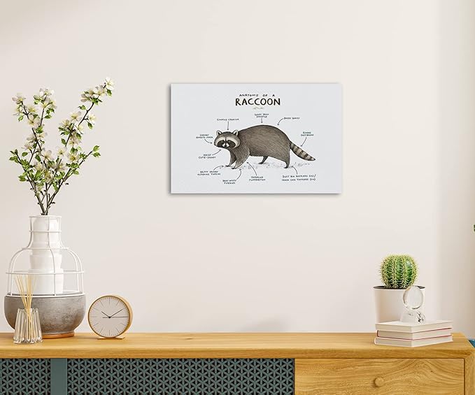 NOGRIT raccoon decor raccoon wall art racoon gifts for women Anatomy of A Raccoon Canvas Wall Art 14×11 racoon Themed Decor For Home Bedroom Living Room Boys Room Nursery Playroom Classroom,raccoon art Prints