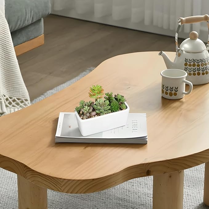 Artificial Succulents Plants in White Ceramic Planter Assorted Fake Plant in Pots Arrangement Fake Succulent Potted Plant for Home Office Desk Bathroom Shelf Living Room Indoor Outdoor Decor