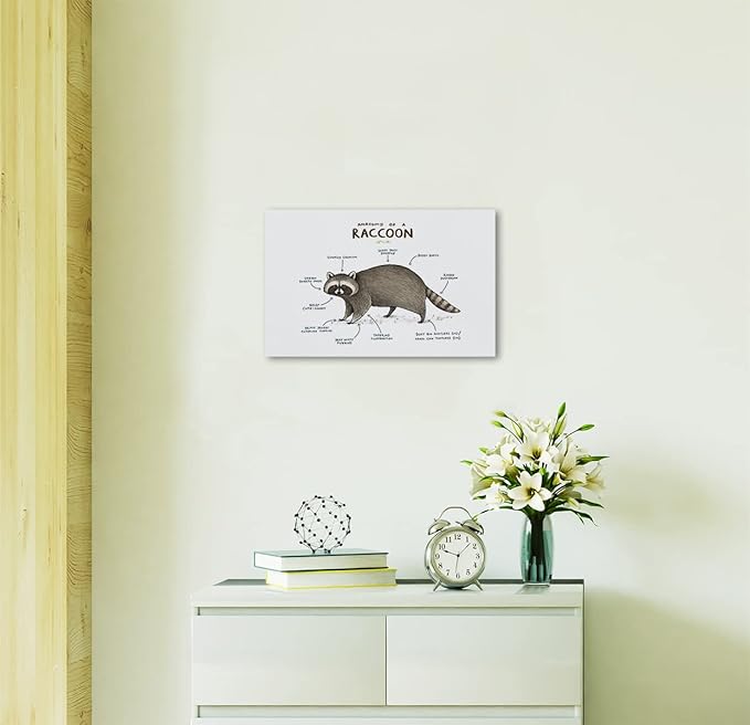 NOGRIT raccoon decor raccoon wall art racoon gifts for women Anatomy of A Raccoon Canvas Wall Art 14×11 racoon Themed Decor For Home Bedroom Living Room Boys Room Nursery Playroom Classroom,raccoon art Prints