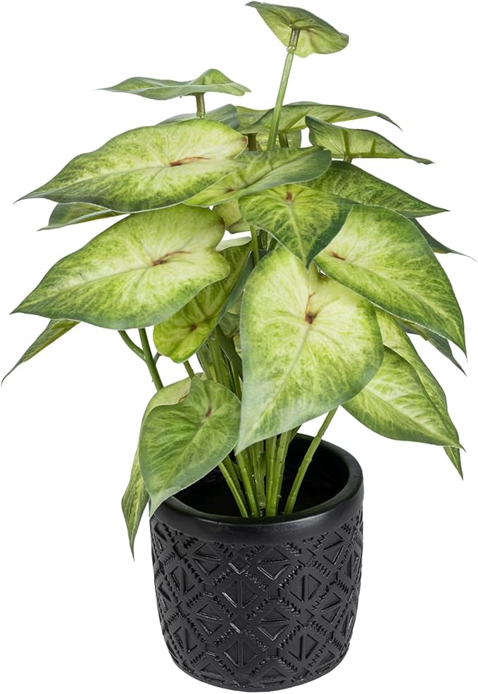 MyGift Artificial Arrowhead Plant Potted in Black Concrete Pot with Geometric Embossed Pattern, Faux Syngonium Podophyllum 'White Butterfly' Green Leaf Indoor Home Table Decor