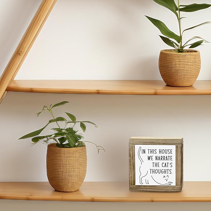 Funny Home Sign, In This House We Narrate The Cats Thoughts, Cat Sign, Cat Decor, Cats Lover, Country Farmhouse Style Wood Box Decor Signs, Funny Farmhouse Home Office Decoration