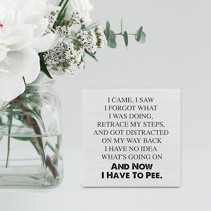 Country I Came I Saw I Forgot Sayings Wood Box Sign Decor Desk Sign Funny Wooden Box Block Sign Home Office Shelf Wall Decoration