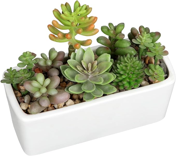 Artificial Succulents Plants in White Ceramic Planter Assorted Fake Plant in Pots Arrangement Fake Succulent Potted Plant for Home Office Desk Bathroom Shelf Living Room Indoor Outdoor Decor