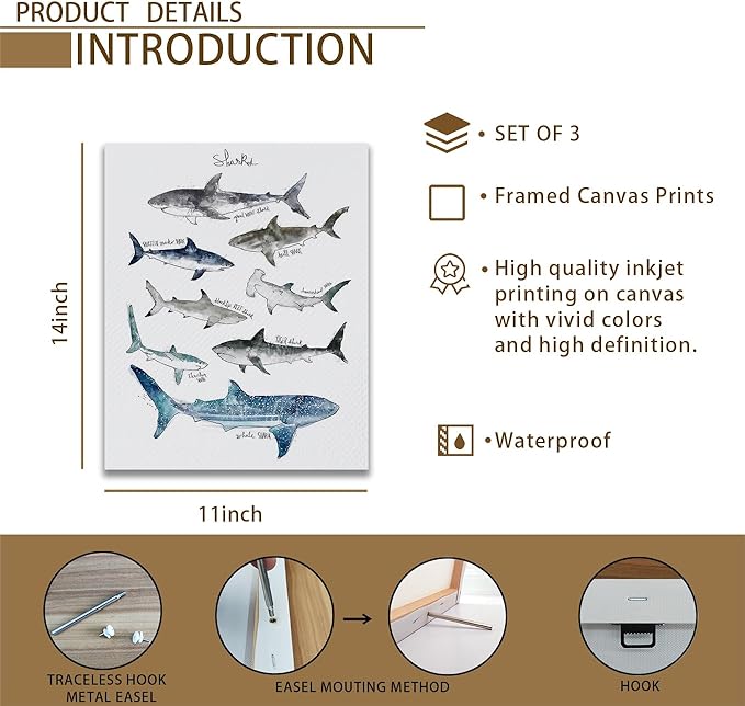 NOGRIT Shark Wall Art Set of 3, 1114 Inch, Classroom & Dorm Decor, Gift for Shark Lovers