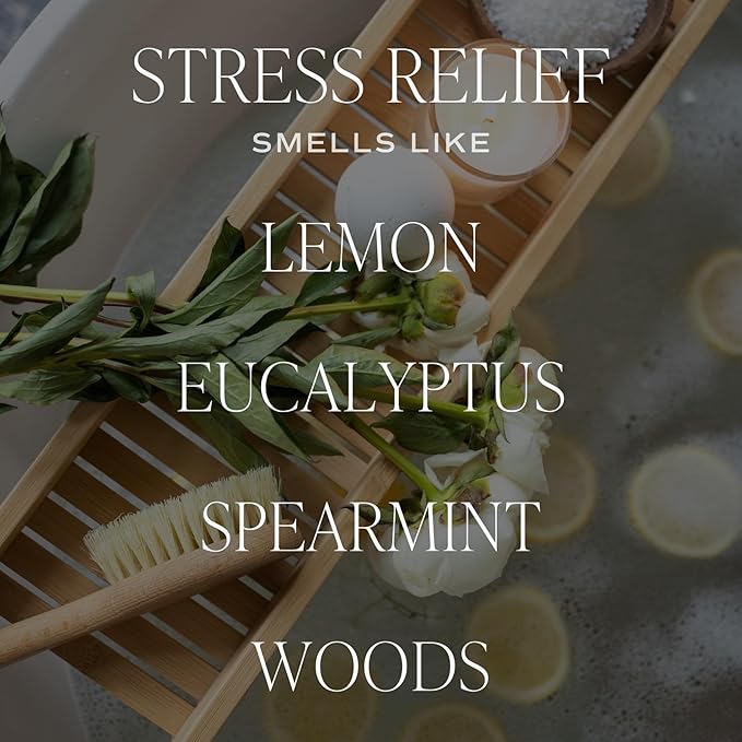 Sweet Water Decor Calming Reed Diffuser Set for Home - Eucalyptus, Spearmint, Citrus, Woods Scented Reed Diffusers - Housewarming Gift, Lasts 4+ Months, Made in The USA