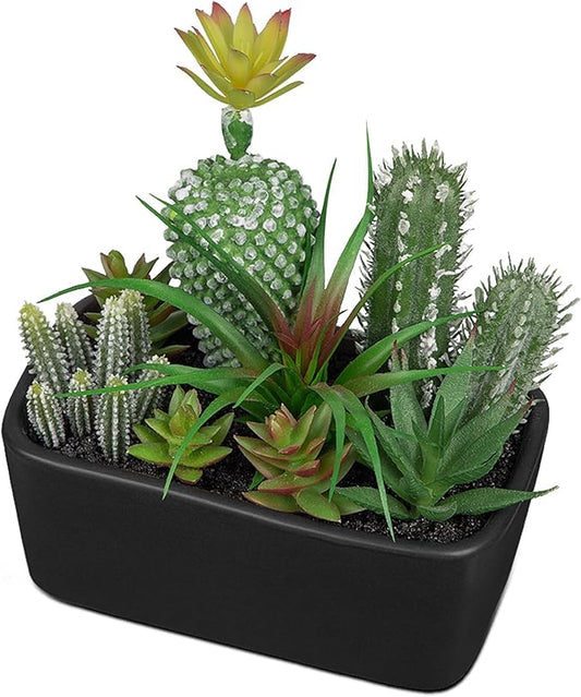 Artificial Succulents Plants in Ceramic Planter, Assorted Fake Plants in Black Pots, Fake Succulents Plants Artificial with Ceramic Potted for Bathroom Home Office Living Room Table Decor