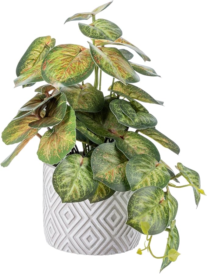 MyGift Artificial Aglaonema Evergreen Leafy Plant, Green and Red Faux Leaves Potted in Gray Concrete Pot with White Diamond Pattern, Indoor Home Table Decor