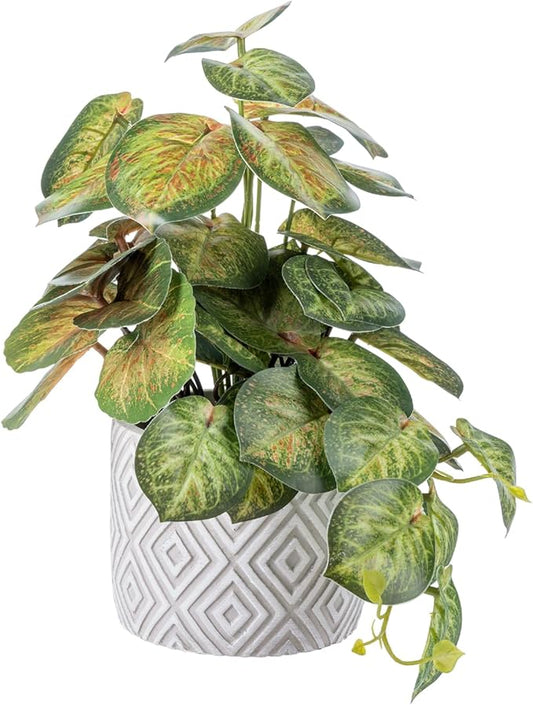 MyGift Artificial Aglaonema Evergreen Leafy Plant, Green and Red Faux Leaves Potted in Gray Concrete Pot with White Diamond Pattern, Indoor Home Table Decor