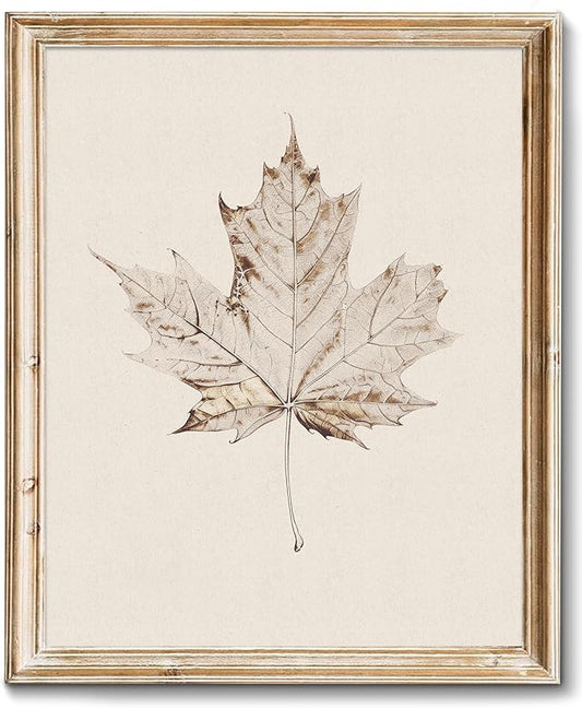 RETRART Vintage Maple Leaf Wall Art, Antique Maple Leaf Sketch Art - Botanical Drawing - Summer Farmhouse Decor, 8" x 10" Unframed Canvas Prints for Bedroom Living Room Bathroom Wall Decor