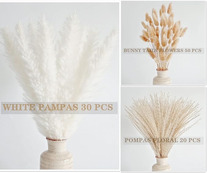 Natural Dried Pampas Grass Decor, White Pampas Grass, Bunny Tails Dried Flowers, Reed Grass Bouquet for Wedding Boho Flowers Home Table Decor, Rustic Farmhouse Party (100 in Total )