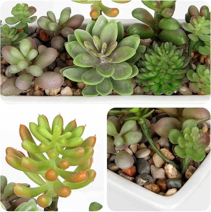 Artificial Succulents Plants in White Ceramic Planter Assorted Fake Plant in Pots Arrangement Fake Succulent Potted Plant for Home Office Desk Bathroom Shelf Living Room Indoor Outdoor Decor