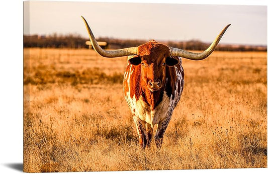 Longhorn Canvas Wall Art Highland Cattle in Sunset Picture Prints Farm Animal Cow in Autumn Grassland Prairie Painting Modern Home Farmhouse Decoration Giclee Artwork Framed 32x48inch