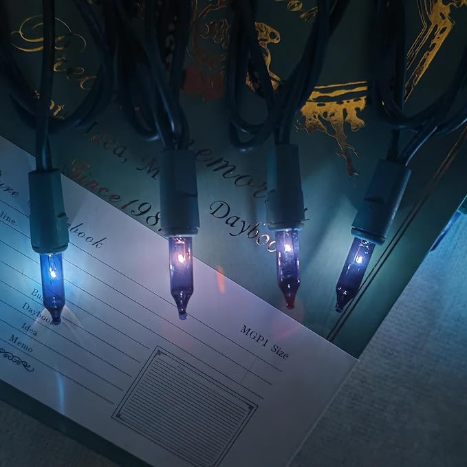 HISHINY Christmas Lights 100 Count Blue Christmas Tree String Lights with Green Wire for Outdoor Indoor Christmas Decorations Wedding Decorations Valentines Day Decor,UL Certified (21feet)