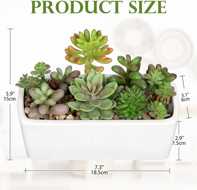 Artificial Succulents Plants in White Ceramic Planter Assorted Fake Plant in Pots Arrangement Fake Succulent Potted Plant for Home Office Desk Bathroom Shelf Living Room Indoor Outdoor Decor