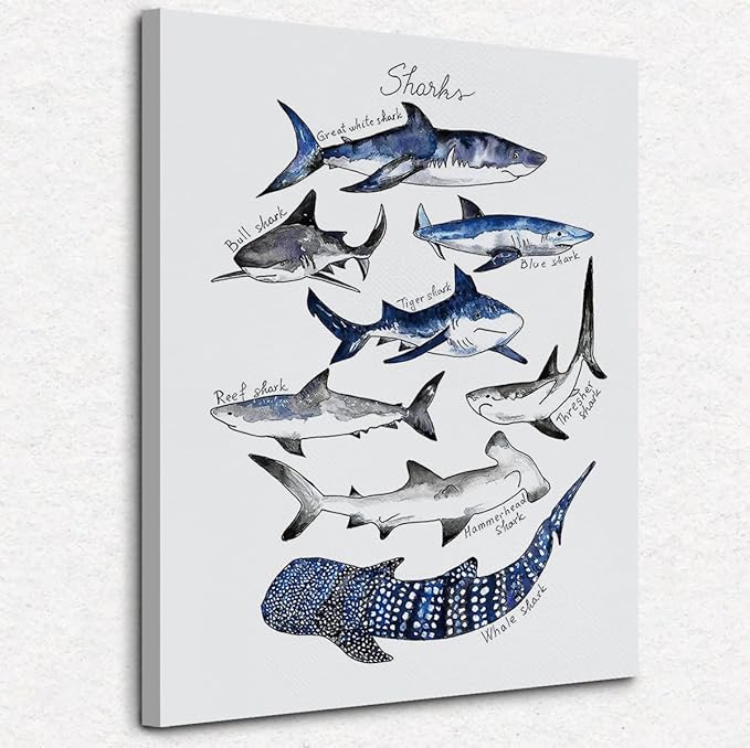 Nogrit Shark Wall Art - Ocean Themed Shark Gifts, Classroom Library Decor - 11x14