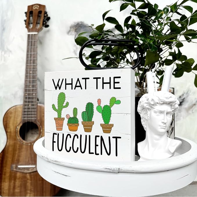 What the Fucculent Sign, Plant Decor, Box Sign Tabletop Decor, Cactus Decor, Plant Lover Home Decor, Greenery Office Decor, Office Desk Sign, Farmhouse Decor for Shelf, White Wooden Box Sign