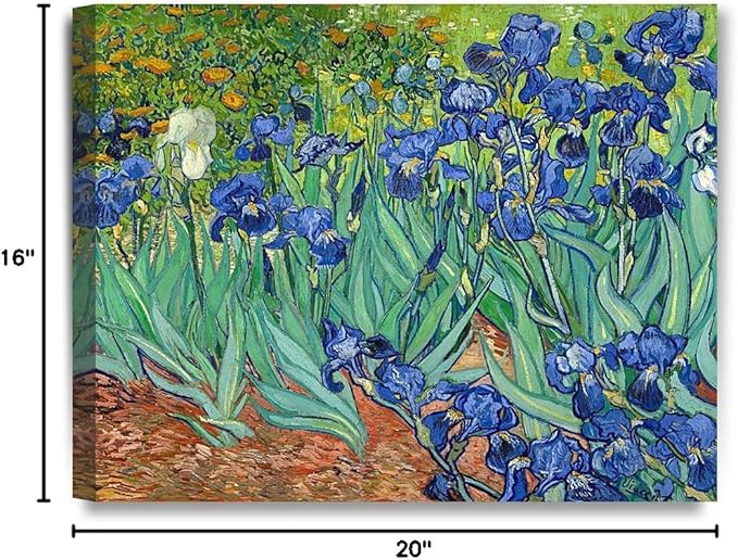 DECORARTS - Irises in the Garden, Vincent Van Gogh Art Reproduction. Giclee Canvas Prints Wall Art for Home Decor 20x16