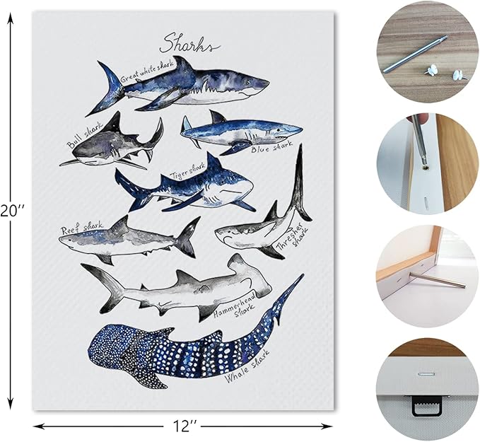 Nogrit Shark Wall Art - Ocean Themed Shark Gifts, Classroom Library Decor - 11x14