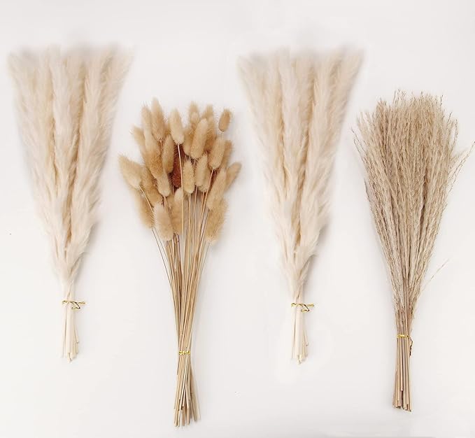 Natural Dried Pampas Grass Decor, White Pampas Grass, Bunny Tails Dried Flowers, Reed Grass Bouquet for Wedding Boho Flowers Home Table Decor, Rustic Farmhouse Party (100 in Total )
