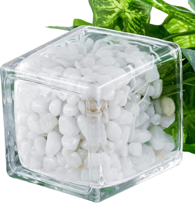 MyGift Artificial Clover and Taro Plants in Clear Glass Vase with Decorative White Stones, Set of 3