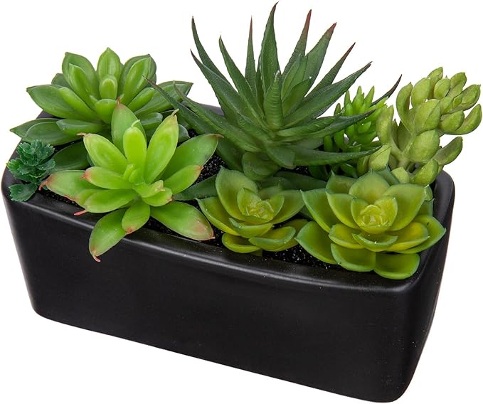 Artificial Succulents Plants in Ceramic Planter Assorted Faux Succulents in Pots Arrangement Fake Succulent Potted Plant for Home Office Desk Bathroom Shelf Living Room Indoor Outdoor Decor - White