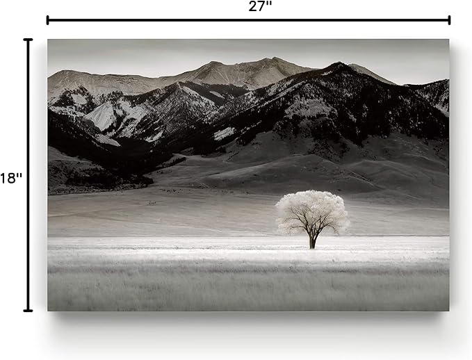 Renditions Gallery Canvas Nature Art Prints for Home Standalone Solitary Tree Black & White Modern Artwork Prints for Bedroom Living Room Office Decor - 18"X27" LT08