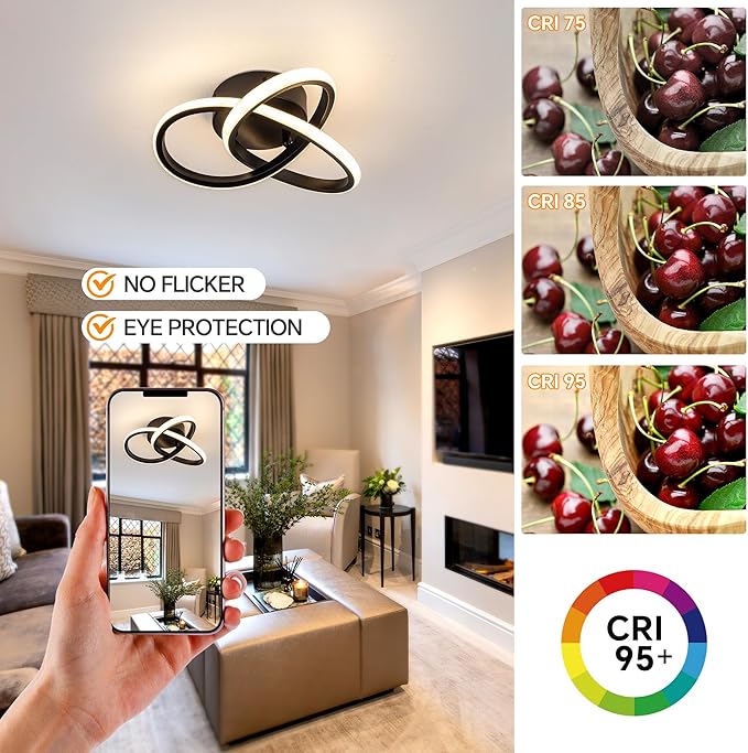 10 Inch Modern Ceiling Light, 24W LED Dimmable Ceiling Light with Remote Control, 3000-6000K Color Temperature Adjustable, Balck Small Chandelier for Bedroom, Entryway, Hallway, Kitchen