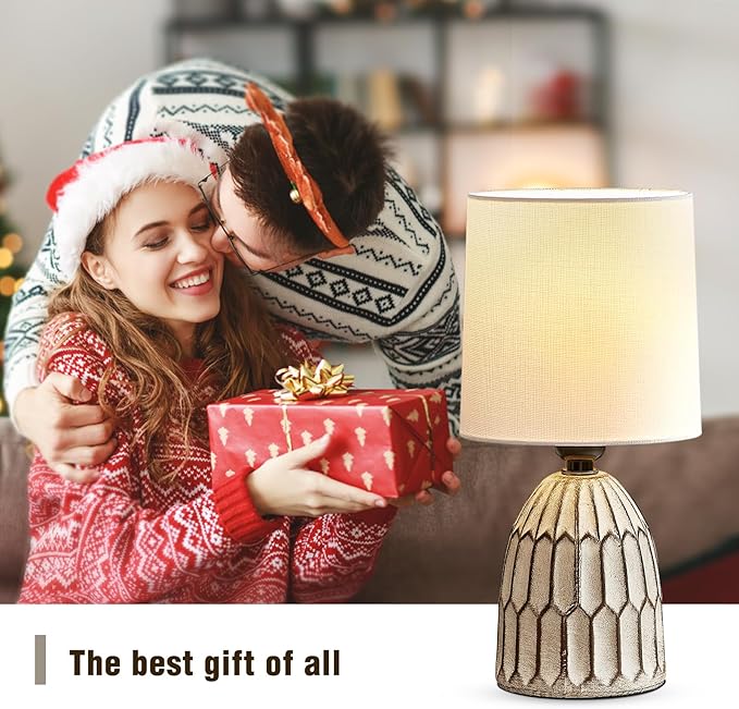 Table Lamps Set of 2-13.5" Small Boho Lamp - Bedside Lamps - Farmhouse Rustic Ceramic Table Lamp for Bedroom, Living Room, Nightstand, Office, Side Desk Lamp, End Table Lamp