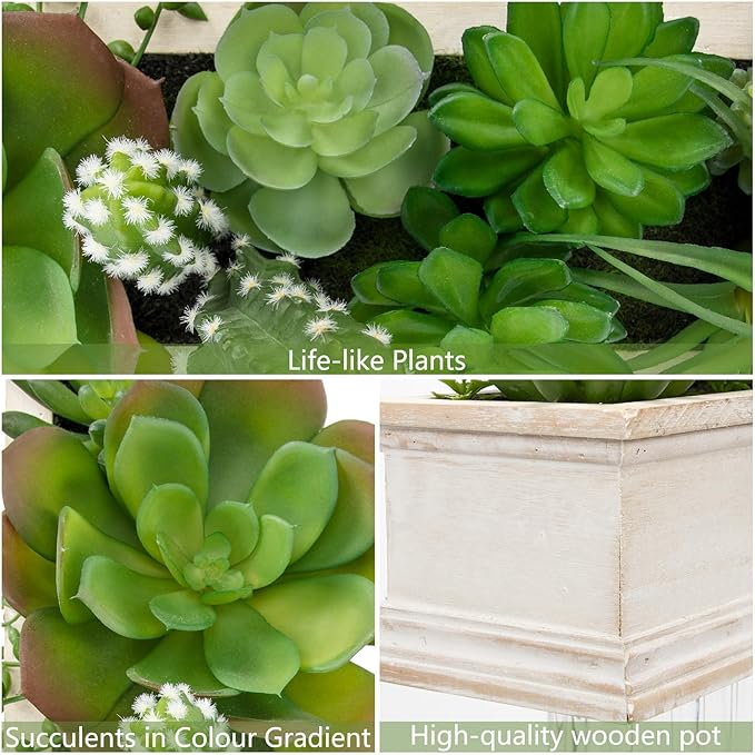 Artificial Succulents Fake Plants in White Rectangular Wooden Pots 12.9"W Artificial Potted Succulents Faux Plants Arrangement for Table Centerpiece Farmhouse Shelf Mantel Tropical Greenery Decor