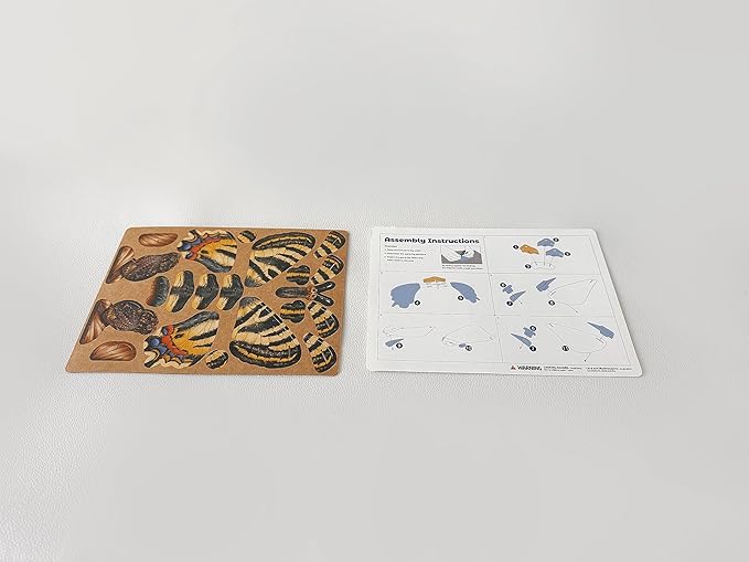 Science Kits Educational Toys and Games, Eco-Friendly 3D Paper Puzzles for Kids Ages 7+, Early Development Tools for New Year-Luehdorfiaโฆโฆ