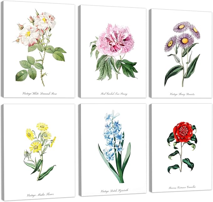 COSCTOR Set of 6 Botanical Floral Wall Art Decor Vintage Flower Market Canvas Framed 6 Pieces Green Plant Sage Minimalist for Bedroom Living Room Bathroom Hallway Home Decoration(Framed, 12x16)
