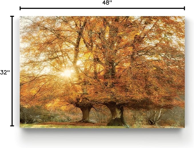 Renditions Gallery Nature Art Pictures & Prints Sunlight coming through Orange Autumn Trees Canvas Hanging Artwork for Bedroom Living Room Office Wall Decor - 32"X48" LT08
