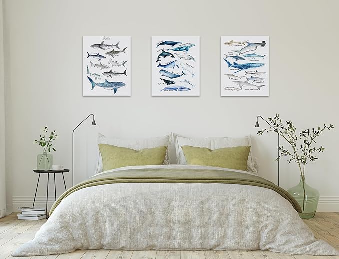 NOGRIT Shark Wall Art Set of 3, 1114 Inch, Classroom & Dorm Decor, Gift for Shark Lovers
