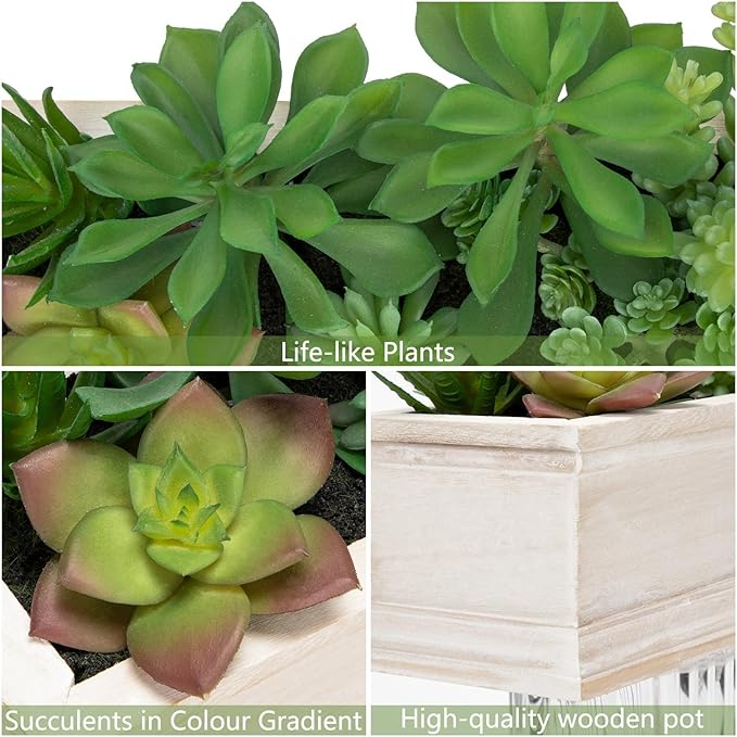 Artificial Succulents Fake Plants in White Rectangular Wooden Pots Artificial Potted Succulents Faux Plants Arrangement for Table Centerpiece Farmhouse Shelf Mantel Tropical Greenery Decor