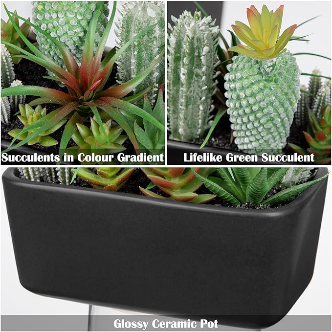 Artificial Succulents Plants in Ceramic Planter, Assorted Fake Plants in Black Pots, Fake Succulents Plants Artificial with Ceramic Potted for Bathroom Home Office Living Room Table Decor